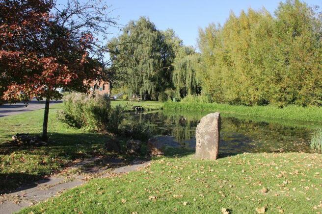 Grounds
