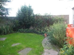 Garden 1