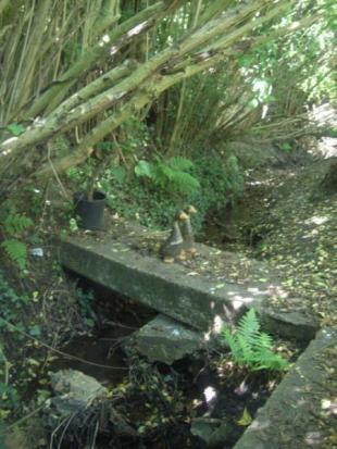 Stream