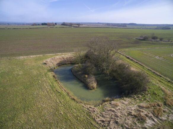 Wild life pond