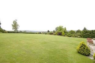 Garden Photo 3