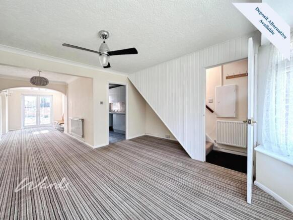 a46cb7e9-Rise 203...