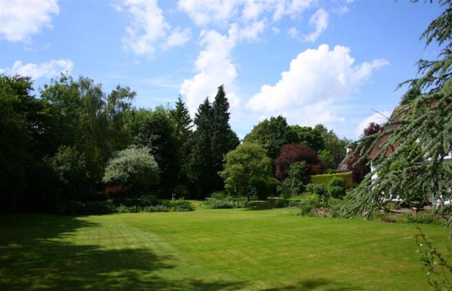 garden3.JPG