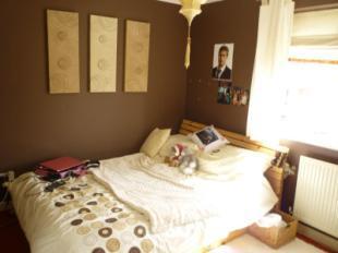 Picture No.05