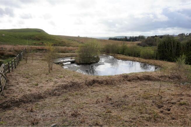 Pond