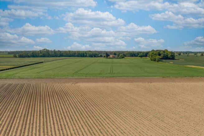 Lot 4