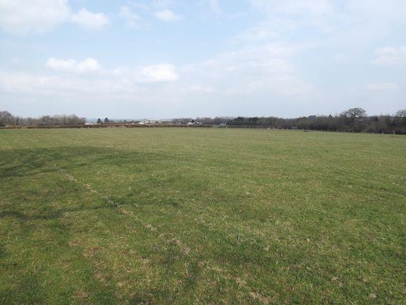 Field