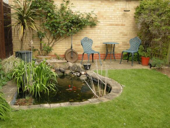 Pond