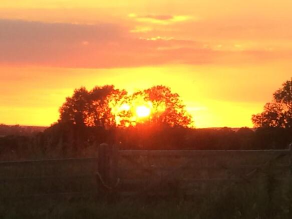 Sunset on the park