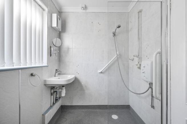 IMAGE 7