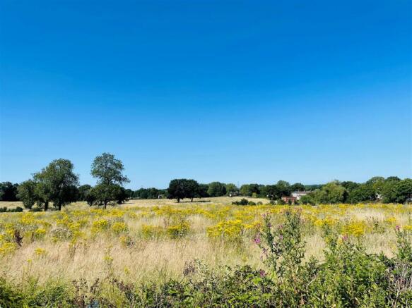 Field Views