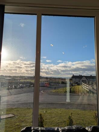 Lily Close Front Ele