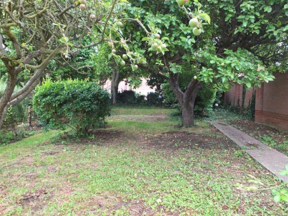 11 North Parade Second part of garden.JPG