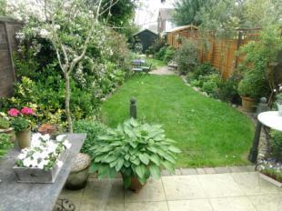 GARDEN 1