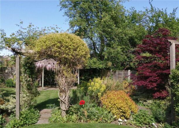 Garden Spring Photo