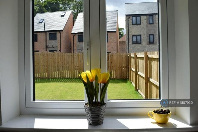 Kitchen Window