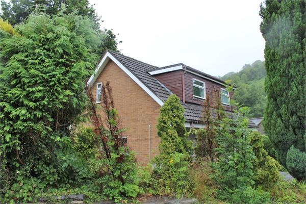 Rear Aspect