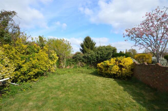 88 Park Road garden.JPG