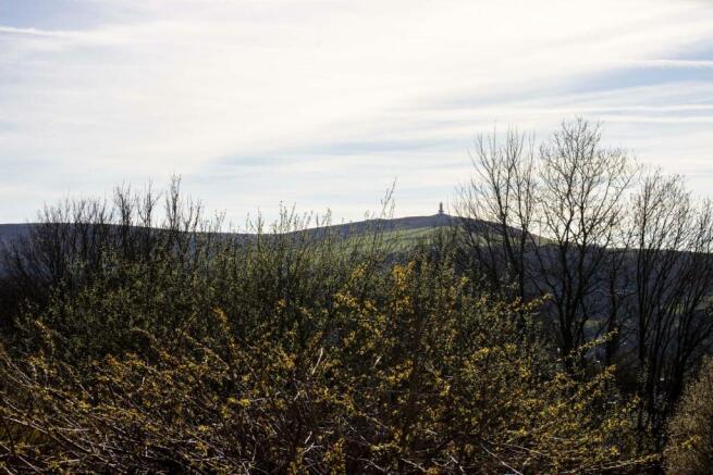moor  (10).jpg