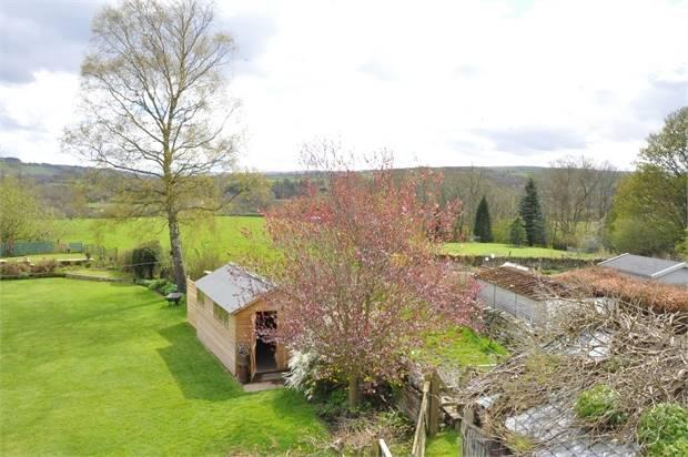 Disclaimer