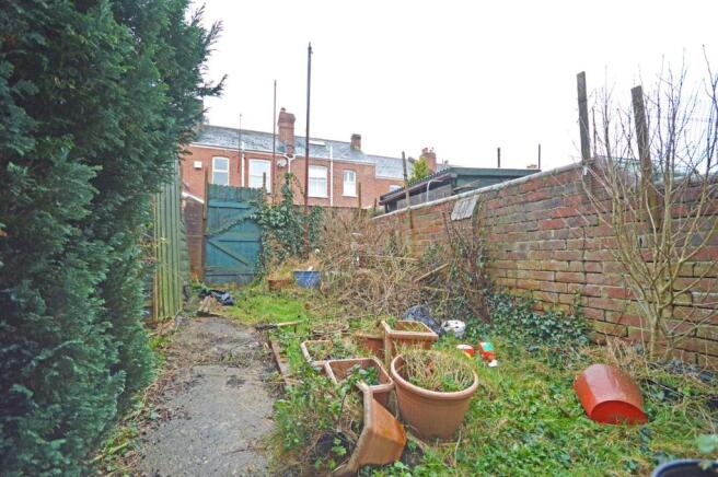 Courtyard Garden