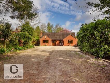 Waterloo Road, Hainford