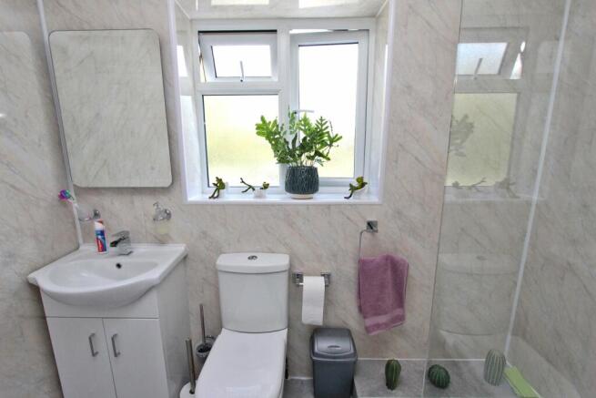 Picture 23