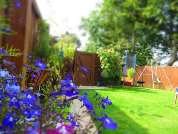 Rear garden