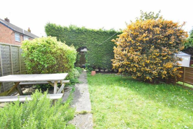 garden.jpg