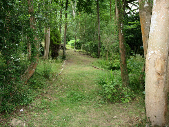 Woods 7