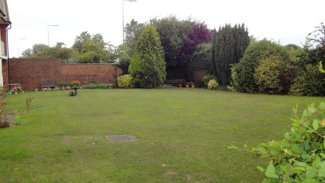 Photo 10
