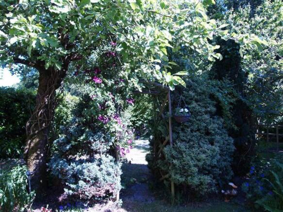 Photo 9