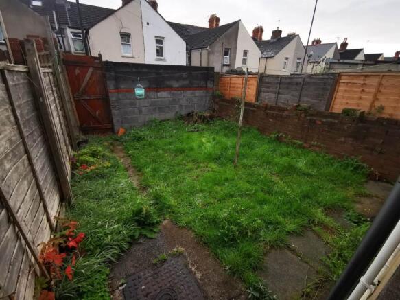 Garden (2)