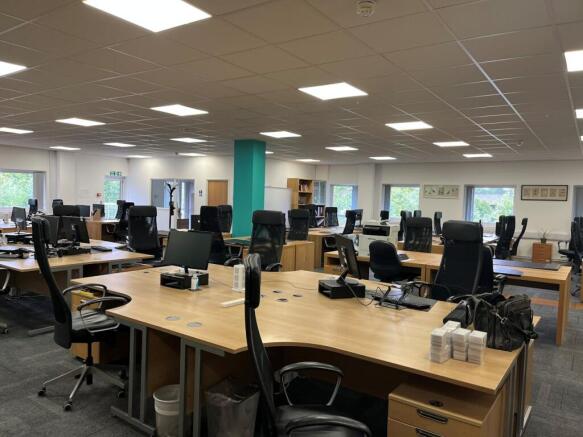 Birchwood Boulevard Int 1.jpg