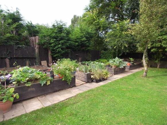 Garden Photos