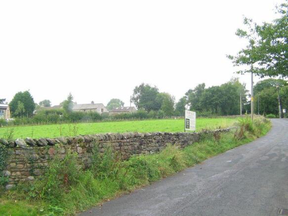 Roadside View