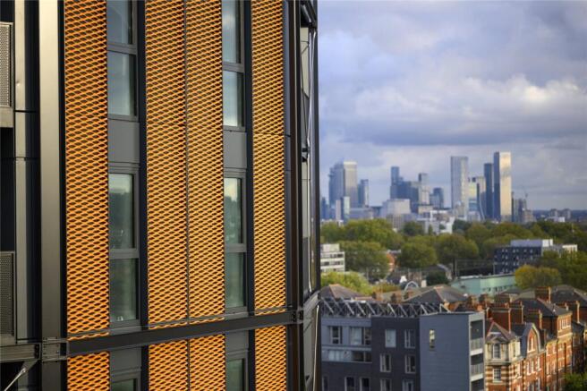 Development and View