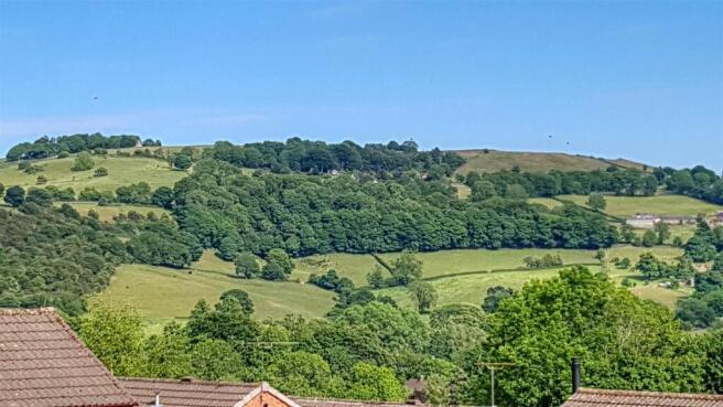 View from lounge.jpg