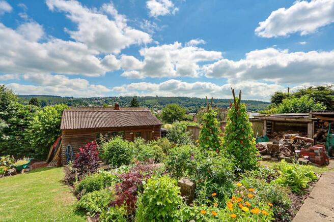 Vegetable Garden