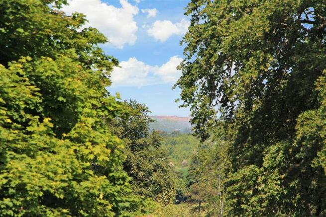 Local Views