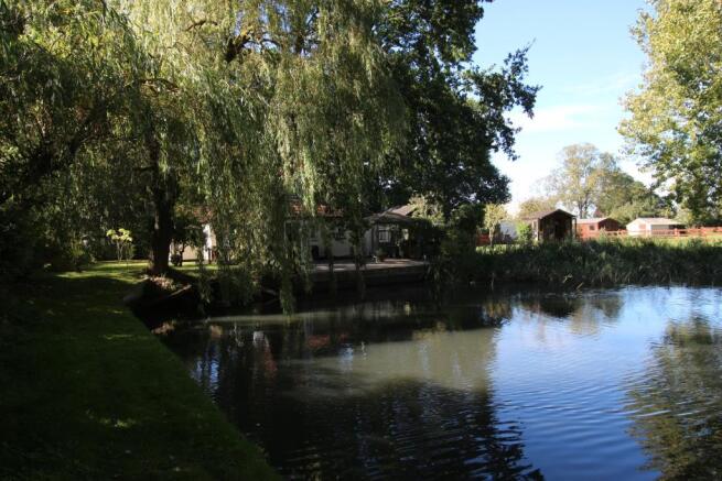 Pond