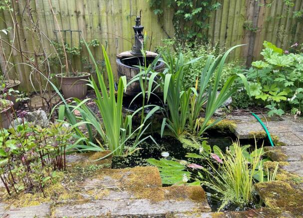 Rear Garden 8.JPG