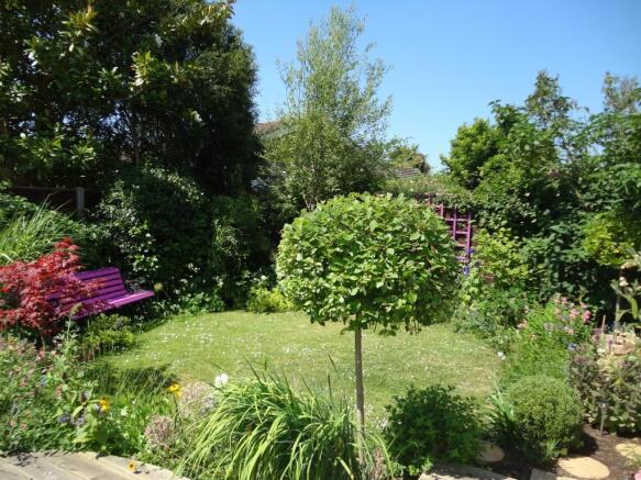 Photo 6