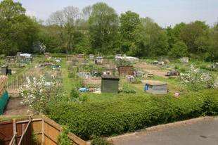 Adjacent allotment g
