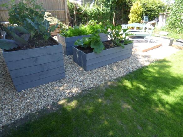 Veg Patch
