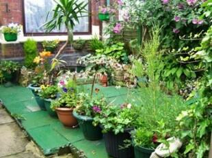 Front Patio