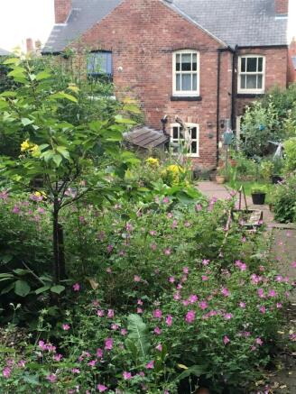 Garden.jpg