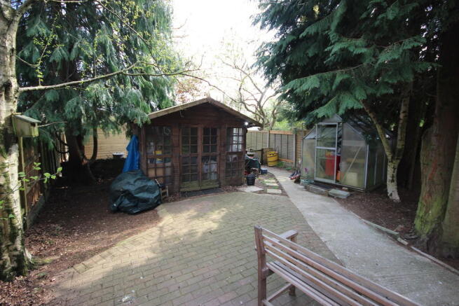Photo 11