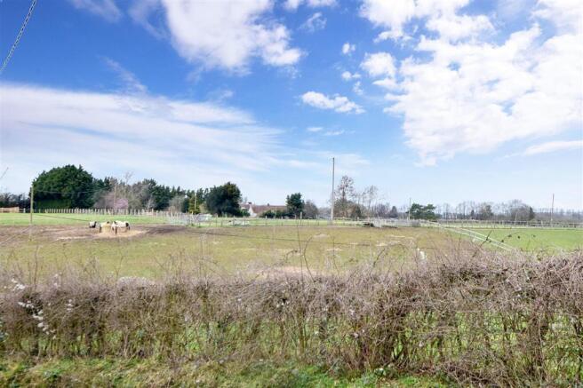 Surrounding Area