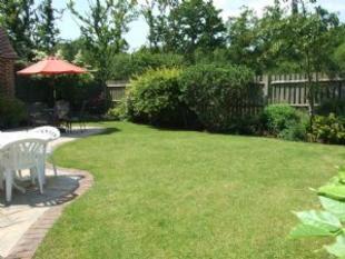 Garden 1